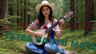 Download lagu TETES BANYU MATA - DJ REMIX mp3 Download lagu TETES BANYU MATA - DJ REMIX mp3