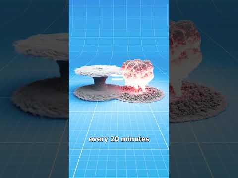 Could A Bomb Blow Up A Hurricane? 🤯