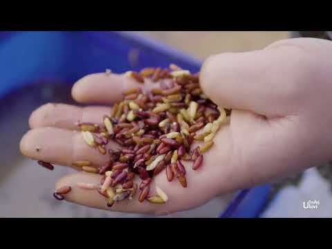 S05 EP23 FEEDER RIBOLOV NA DRINI Balkantrip TV