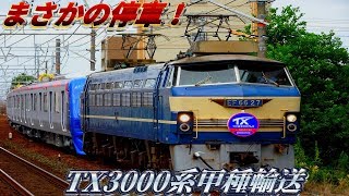 まさかの停車！TX3000系甲種輸送