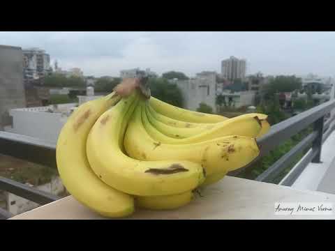 The spiritual side of a Banana