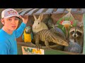 I Found Live Animals In A Pet Store Dumpster