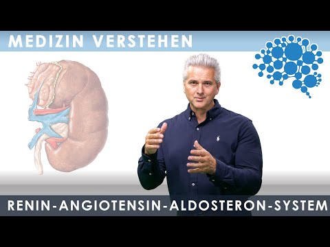 Renin Angiotensin Aldosteron System│Dr. Dr. Damir del Monte│Encephalon Medizin-Videos bei Lecturio