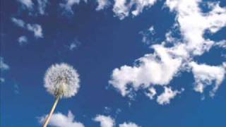 Martin Jondo - Sometimes