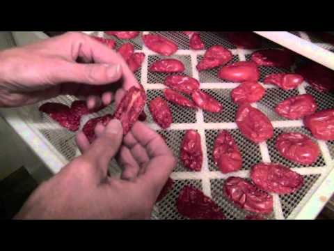 YouTube video about: Can dogs have sun dried tomatoes?
