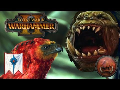 High Elves vs Greenskins | THE BIRD OF PREY - Total War Warhammer 2