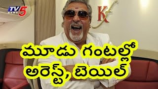 Vijay Mallya Gets Bail in Just Three Hours | Comments on Indian Media