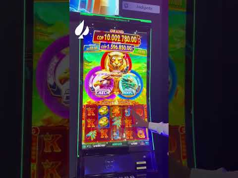 Novomatic: El producto ideal para cada cliente / The right product for every client