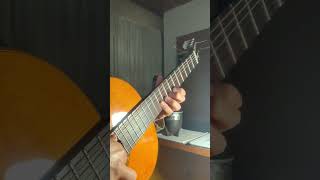 El Chaqueño Palavecino- A Santa María esta zamba - INTRO #guitarra #folklore #punteos #musica