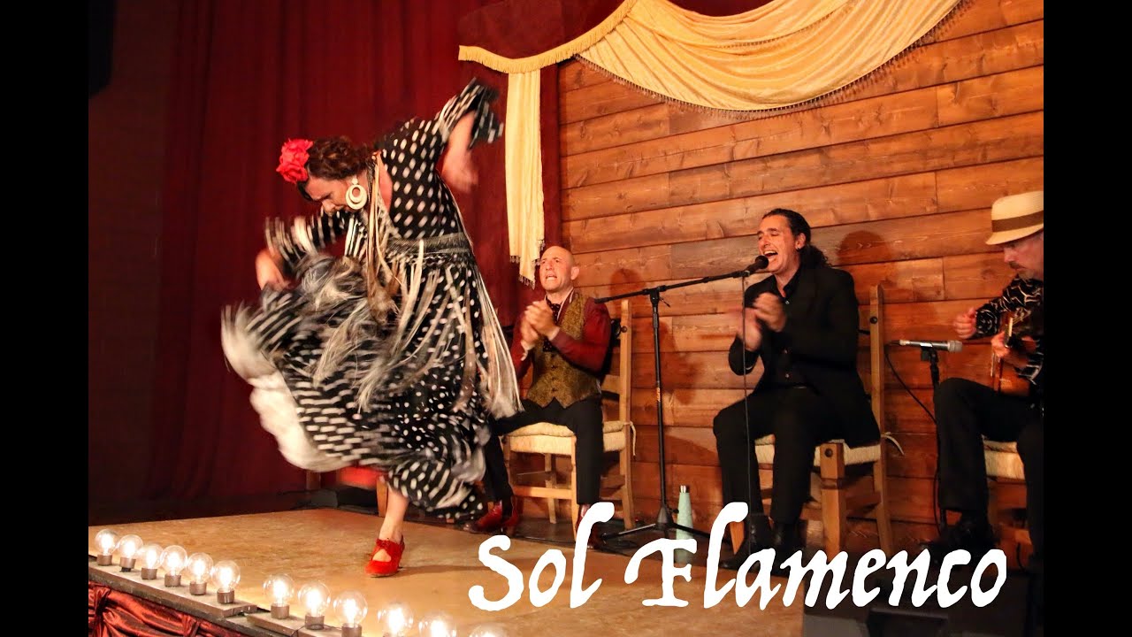 Promotional video thumbnail 3 for Sol Flamenco