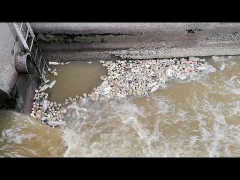 Video thumbnail — Plastic Floating Sewage Water Works Pumping Station Rowan Byrne Marine Biologist Plastic Pollution