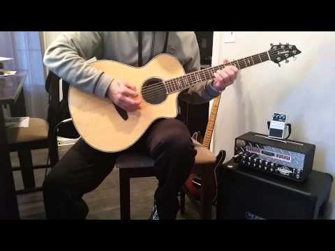 Ozzy Osbourne - You Can't Kill Rock And Roll Guitar Cover