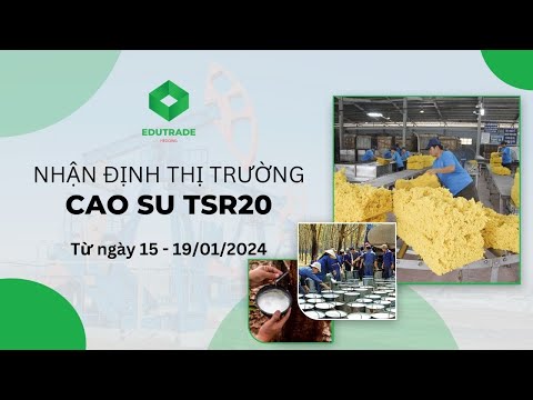 Nhận Định Thị Trường - Cao su TSR20 (Ngày 15 - 19/01/2024)