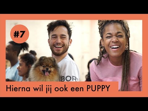 Thomas Cox en Mandy Woelkens doen pilates met puppy’s en ijs | Waar is het feestje? - &C