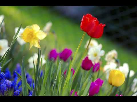 The Storm Inside by Daniel Gunnarsson (Instrumental Version) (2022)