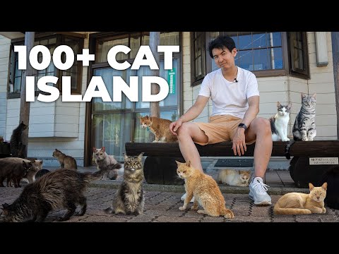 How is Japan’s CAT ISLAND Surviving Without Tourists