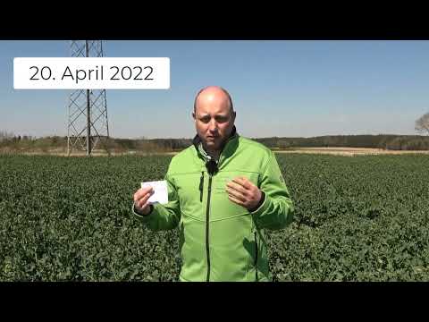 Pflanzenbau Aktuell - 20.04.2022