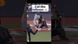Yankees First Base Coach Makes an Incredible Defensive Play #MLB #MLBShorts