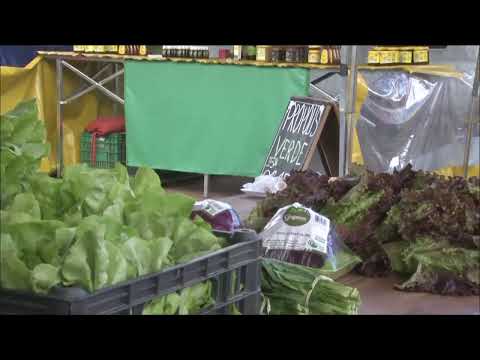 TJ UFSC 05/07/2022 - Creche de Florianópolis é denunciada por maus-tratos // Frio e agricultura