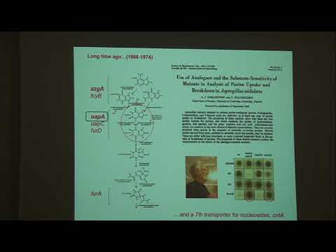 IMBB SEMINAR   George DIALLINAS, March 12th 2019