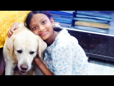 Shaggy or bebo masti kar rahe hai 😂