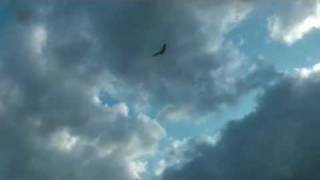 Андрей Заря - Оторвался листок зеленый