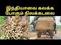 இயற்கை நிலக்கடலை செடி வளர்ப்பது எப்ப