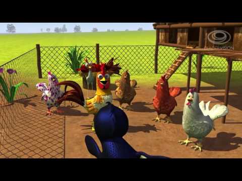 El Pingüino y la Gallina mp4