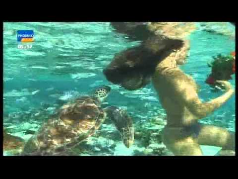 Tropenfieber - Mission Südland (2 / 5)