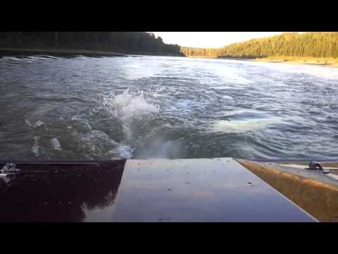 Jetboat Water Wheelie