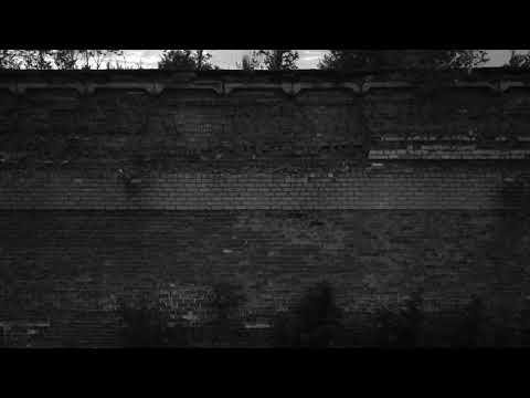 Pale x Mir - Tiesa anapus