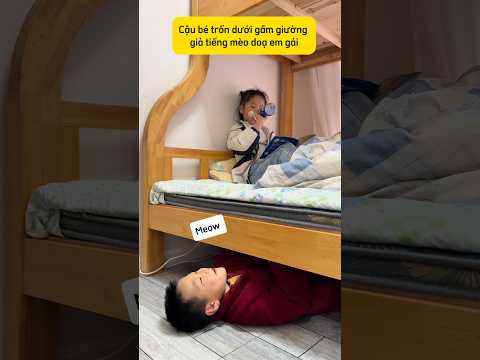 Cậu bé giả tiếng mèo doạ em gái và phản ứng bất ngờ