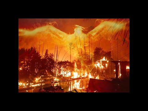 Grizly Mattack - Metamorphosis