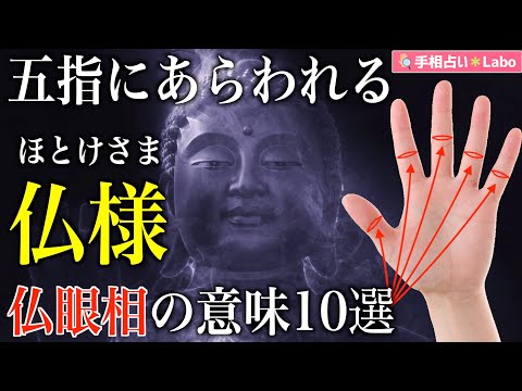 【手相占い】五指にあらわれる仏様、仏眼相の意味10選