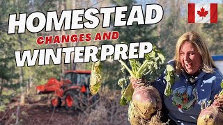 Homestead Changes: Transforming Our Backyard