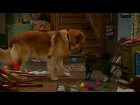 27 दिसंबर 2025