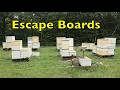 Using Bee Escapes, Summer Treatments and More / Beekeeping