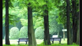 Early Morning Rain.wmv