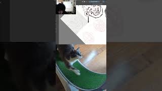 Download lagu 👉 Watch the full video: https://www.youtube.com/watch?v=apEI03HHvQM&t=42s mp3