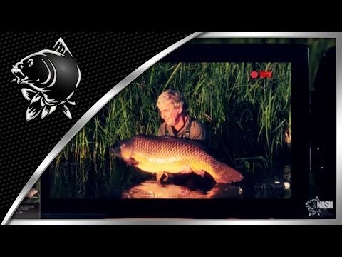 KEVIN NASH THE FINAL ACCOUNT DVD TRAILER - RECORD 50LB ENGLISH CARP BRACE - NASH TACKLE
