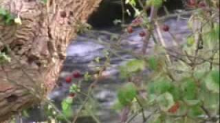 Video tour of Cardiff Bay and the Vale of Glamorgan, Wales.