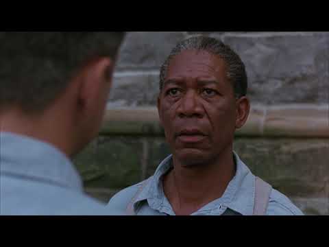 Get Busy Living or Get Busy Dying - The Shawshank Redemption (1994) - Movie Clip HD Scene