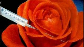 Re del silenzio - Piero Pelù