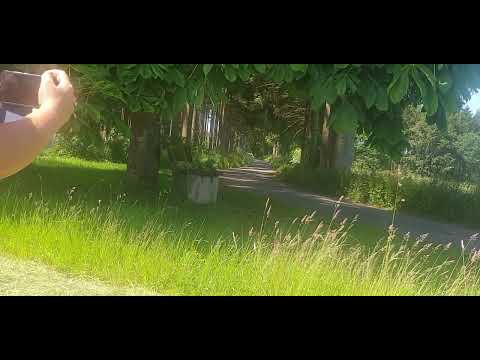 Test Thierry Neuville Peugeot 306 Maxi 💥💥