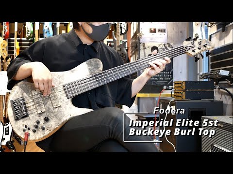 Fodera | Imperial Elite 5st Buckeye Burl Top