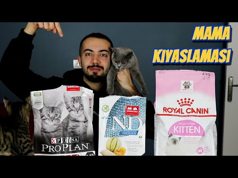 , title : 'KEDİ MAMASI KARŞILAŞTIRMASI (Royal Canin, ProPlan, ND Kıyaslama)'