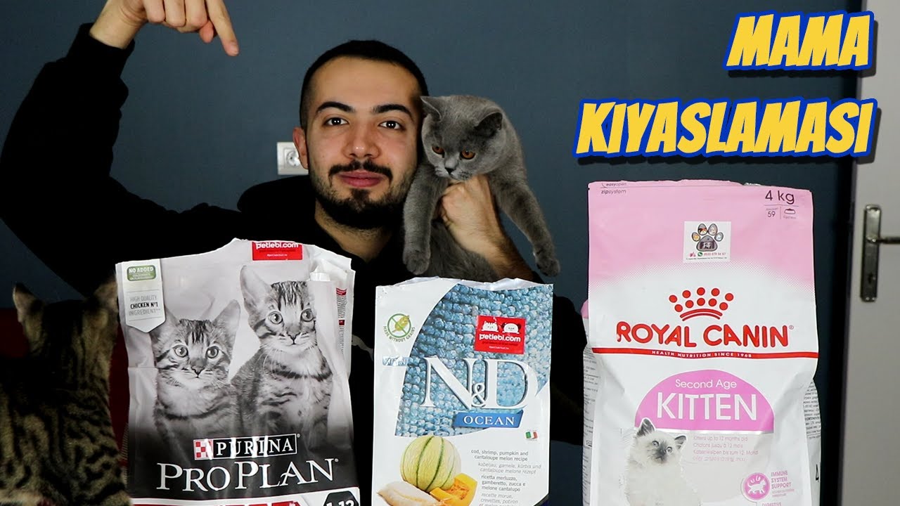 KEDİ MAMASI KARŞILAŞTIRMASI (Royal Canin, ProPlan, ND Kıyaslama)