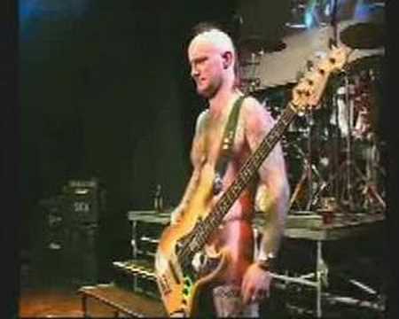 The Welsh rock band SEX