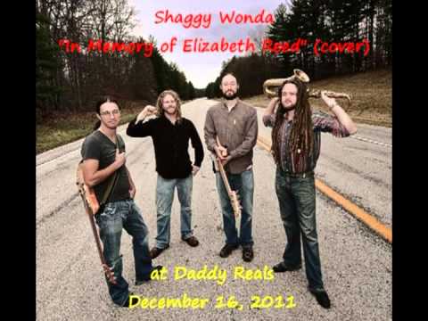 Shaggy Wonda - 