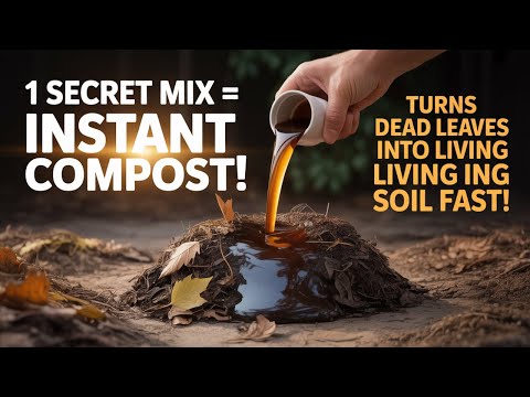 Pour THIS Over Dry Leaves and Watch Them Turn Into Living Compost Overnight!